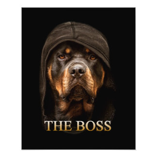 Foto Perro Rottweile