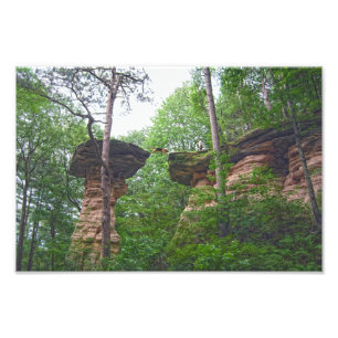 Foto Perro saltando desde Stand Rock en Wisconsin Dells