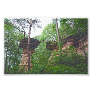 Foto Perro saltando desde Stand Rock en Wisconsin Dells
