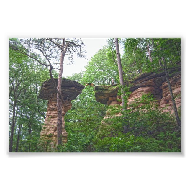 Foto Perro saltando desde Stand Rock en Wisconsin Dells (Frente)