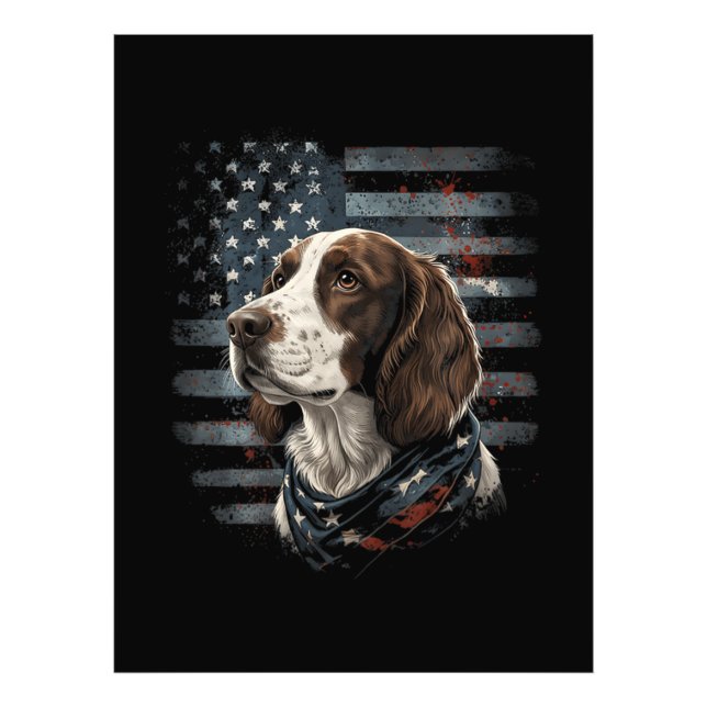 Foto Perro Springer Spaniel Bandera Americana (Frente)