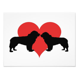 Foto perros recién nacidos