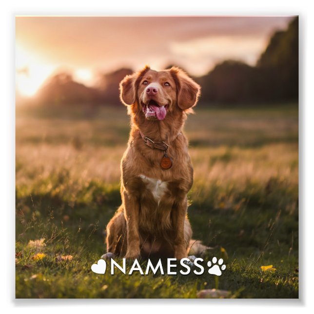 Foto personalizada con el nombre de tu perro (Frente)