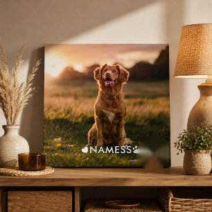 Foto personalizada con el nombre de tu perro