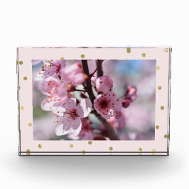 Foto personalizada confeti rosado de la chispa del