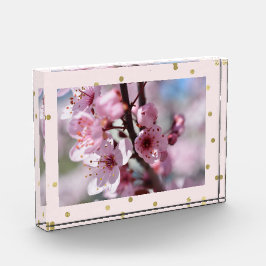 Foto personalizada confeti rosado de la chispa del