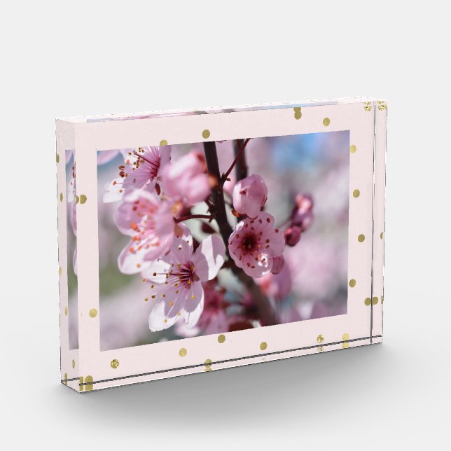 Foto personalizada confeti rosado de la chispa del (Izquierda)