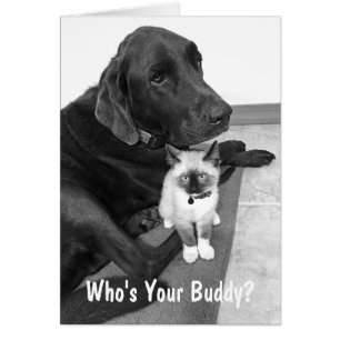 Foto personalizada de cachorro labrador y gatito a