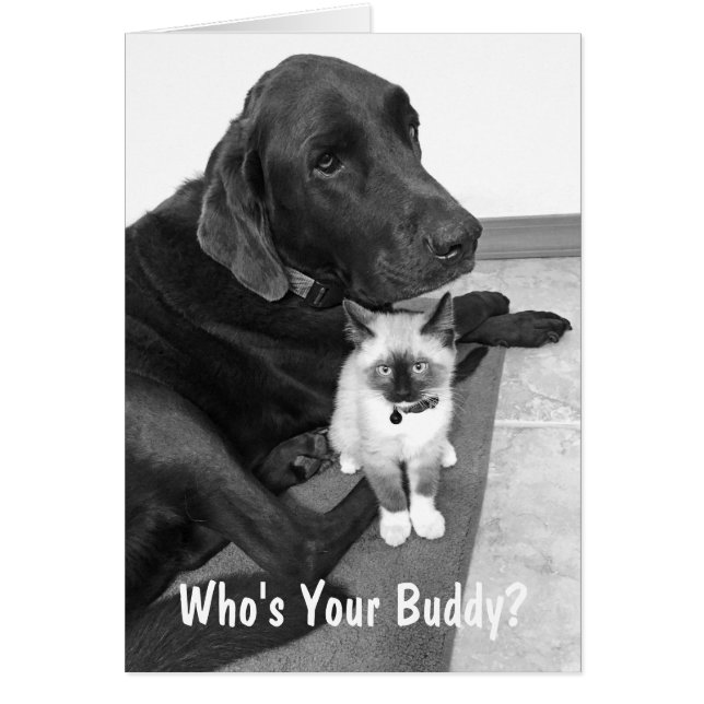 Foto personalizada de cachorro labrador y gatito a (Frente)