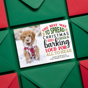 Foto Personalizada de Navidad para Perros