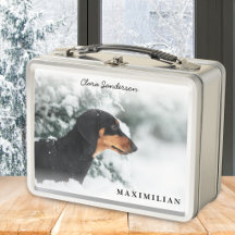 Foto personalizada de perro mascota con estilo