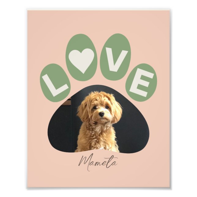 Foto Personalizada querida Fur Baby Paw (Frente)