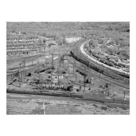 Foto PERSONALIZADO de unión entre zoológicos de PRR Kod