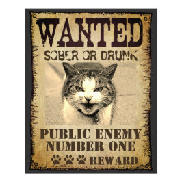 Foto Personalizado gracioso quería poster