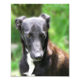 Foto Personalizado Tamaño 8 X 10 Impresión fotográfi