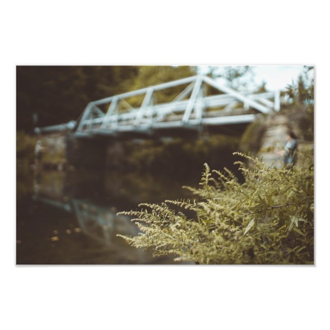 Foto Pesca bajo el puente (Frente)