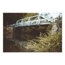 Foto Pesca bajo el puente