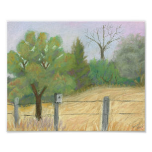 Foto Pescado y vida silvestre