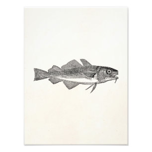 Foto Pescados de bacalao comunes del vintage -