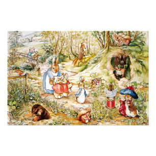 Foto Peter the Rabbit