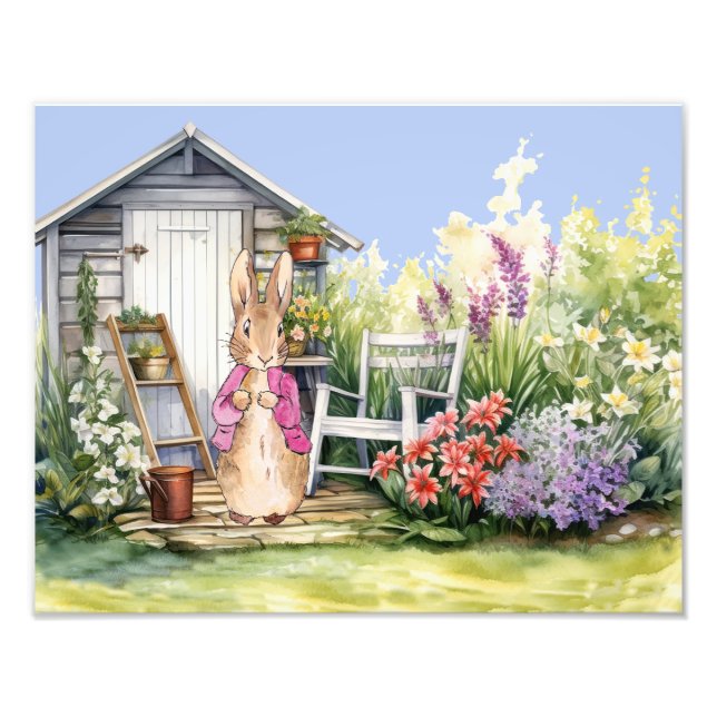 Foto Peter the Rabbit Pink Jacket Garden Shed (Frente)