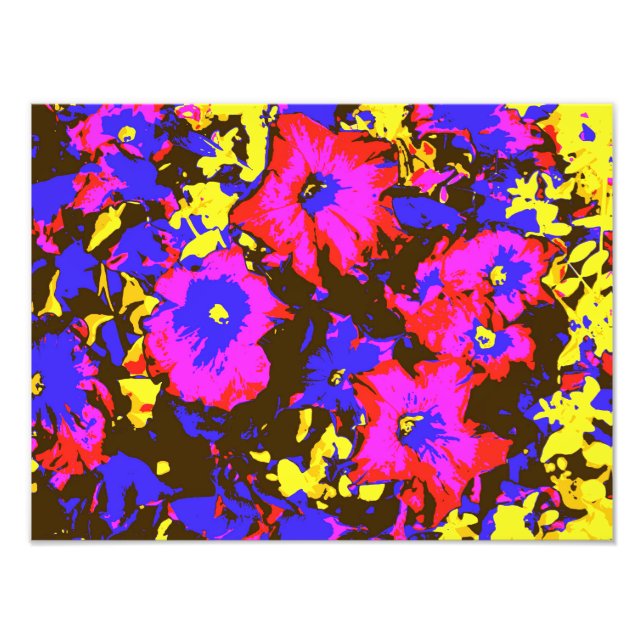 FOTO PETUNIAS (Frente)