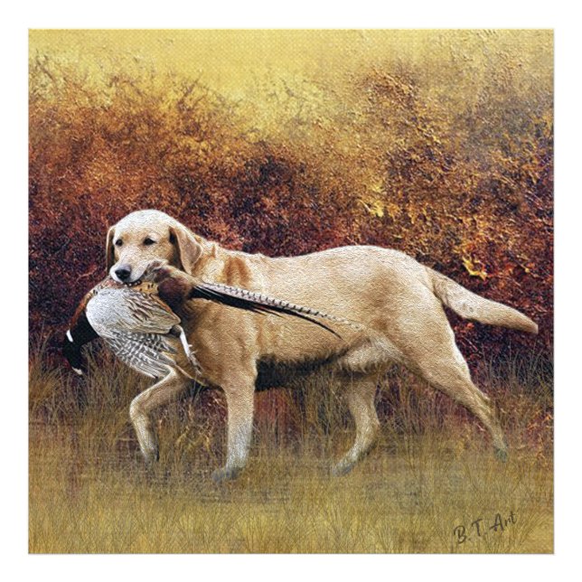 Foto Pheasant de caza, Autumn Faux Canvas Print Acrylic (Frente)