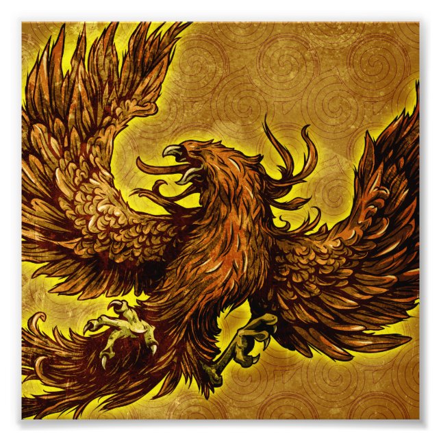 Foto Phoenix (Frente)