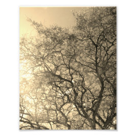 Foto Photo Enlargement