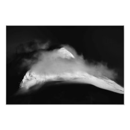 Foto Pico de Baird con cubierta