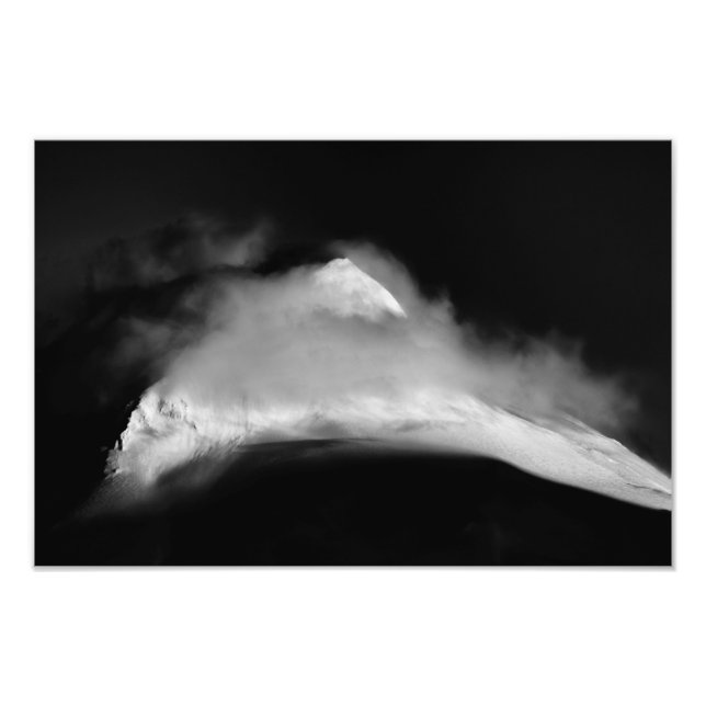 Foto Pico de Baird con cubierta (Frente)