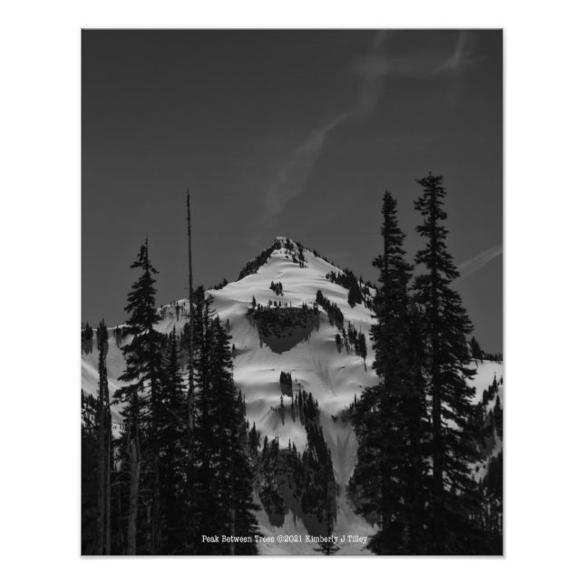 Foto Pico entre árboles (Frente)