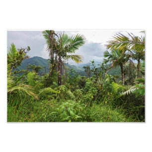 Foto Picos y valles del yunque