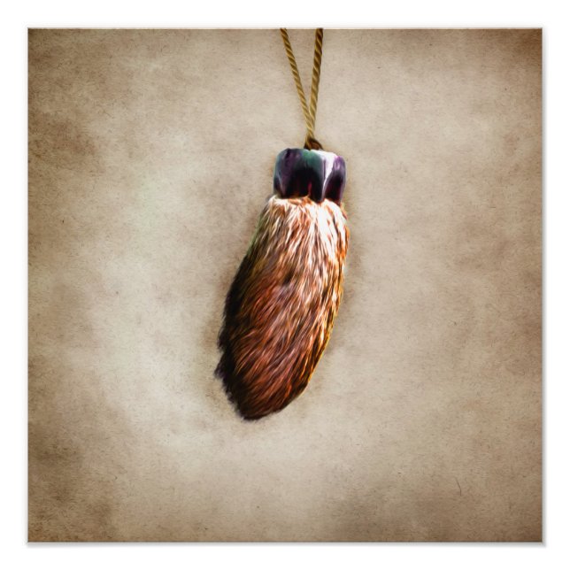 Foto Pie de conejo sucio marrón (Frente)