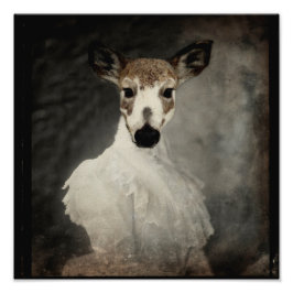 Foto Piebald Deer Con Vestido