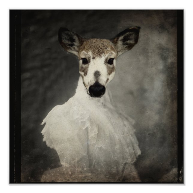 Foto Piebald Deer Con Vestido (Frente)