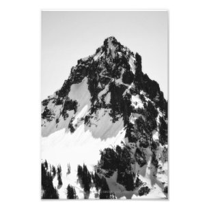 Foto Piedra, Nieve y Árboles