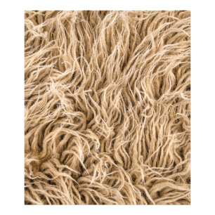 Foto Pieles animales