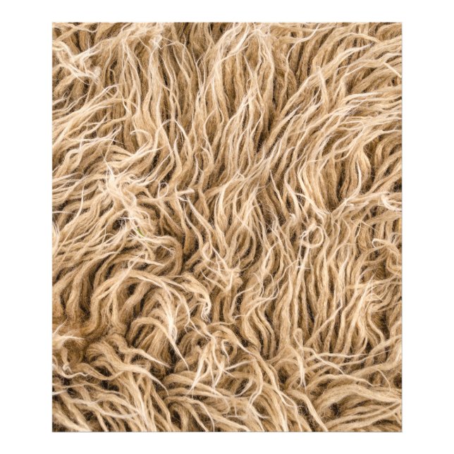 Foto Pieles animales (Frente)