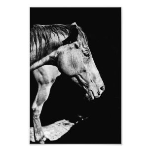 Foto pierna de caballo de cabeza