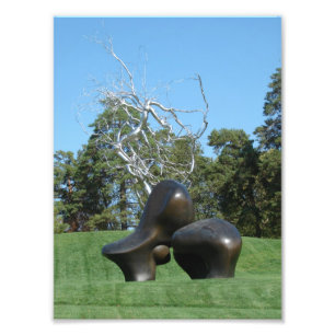 Foto Pieza de oveja y un árbol