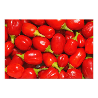 Foto Pimientos Rojos