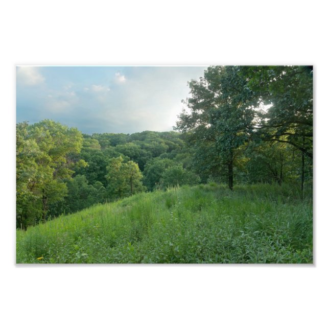 Foto Pine Bend Bluff sobre los bosques del valle (Frente)