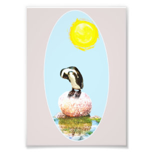 Foto Pingüino al sol