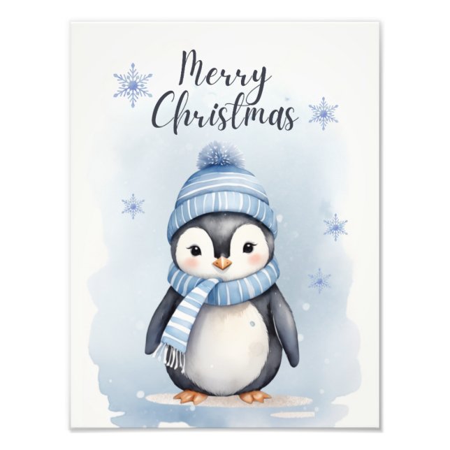 Foto "Pingüino lindo" (Frente)