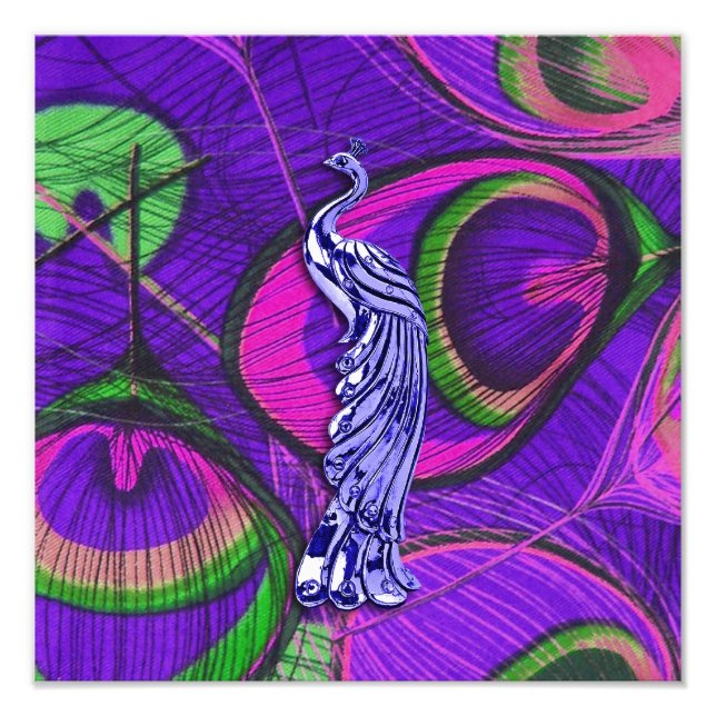 Foto Pink and Purple Peacock (Frente)