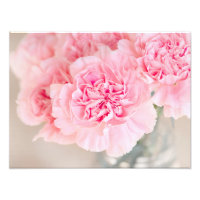 Pink Carnations