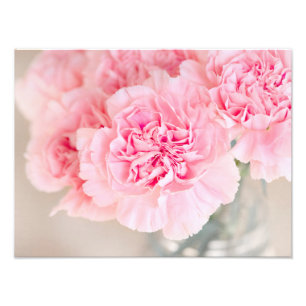 Foto Pink Carnations