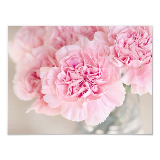 Foto Pink Carnations (Frente)