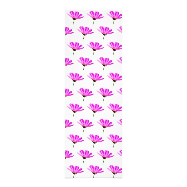 Foto Pink Daisy (Frente)